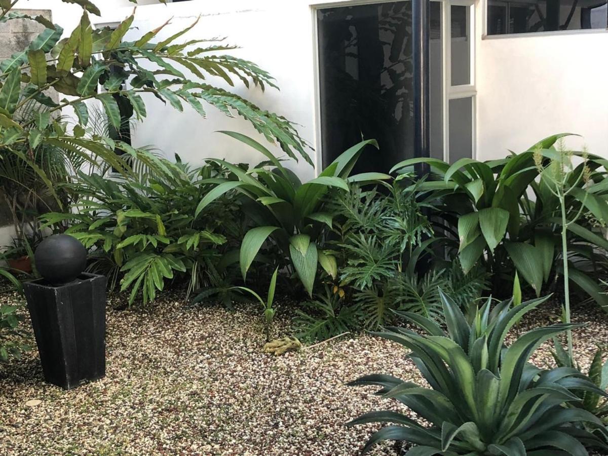 Costa Rica San Jose Full And Comfortable Apartament Pinares Curridabat エクステリア 写真