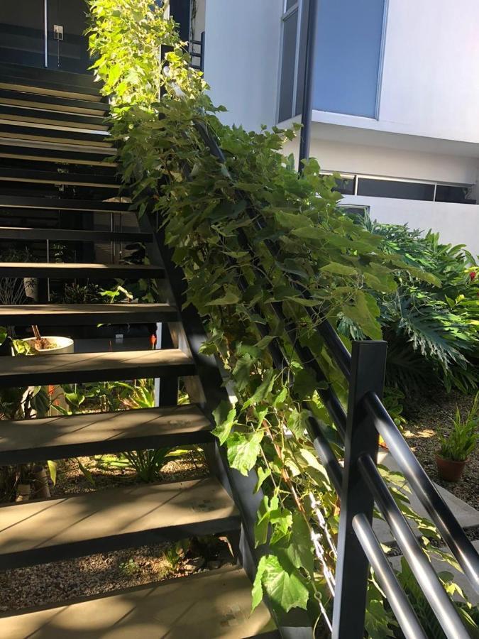Costa Rica San Jose Full And Comfortable Apartament Pinares Curridabat エクステリア 写真